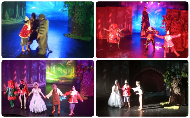 Musical Pinokio XI 2025