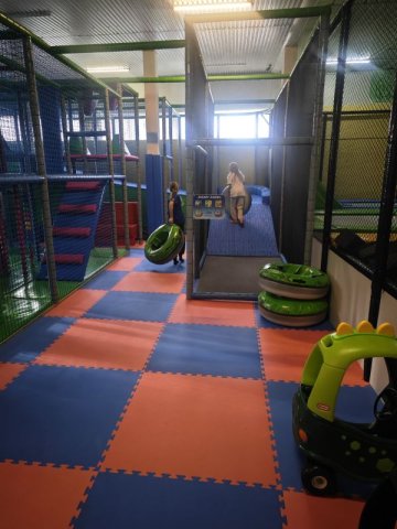 IMG_20240930_101242_copy_1536x2048