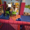 IMG_20240930_101239_copy_1536x2048