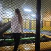 IMG_20240930_101300_copy_1536x2048