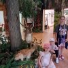 IMG-20250605-WA0071