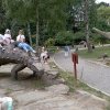 IMG-20260720-WA0018