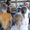 IMG-20260722-WA0045