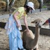 IMG-20260722-WA0095