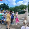 IMG-20260722-WA0100