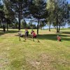 IMG-20260729-WA0037